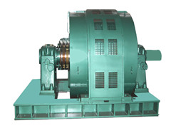 国营黎母山林业公司YR800-8/1180高压电机
