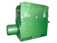 国营黎母山林业公司YRKS系列高压电动机