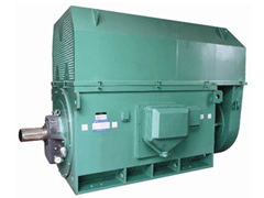 国营黎母山林业公司Y系列6KV高压电机